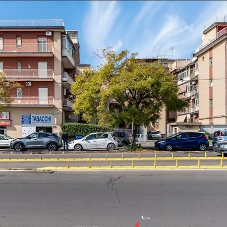 Colle Degli Ulivi *